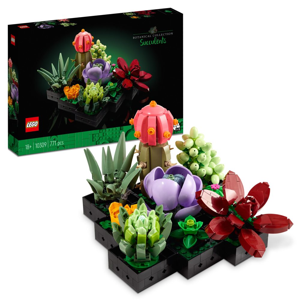 Produktabbildung Sukkulenten