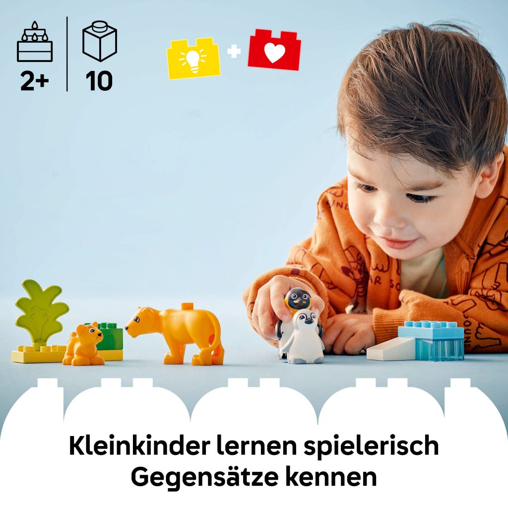 Produktabbildung Wildtier-Familien: Pinguine und Löwen