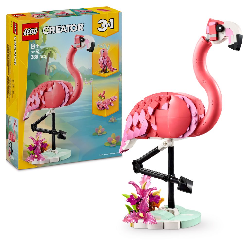 Produktabbildung Wilde Tiere: Rosa Flamingo