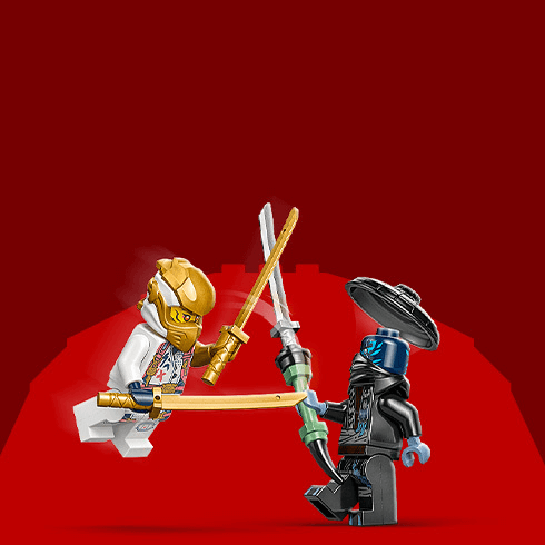 Ninjas & Drachen