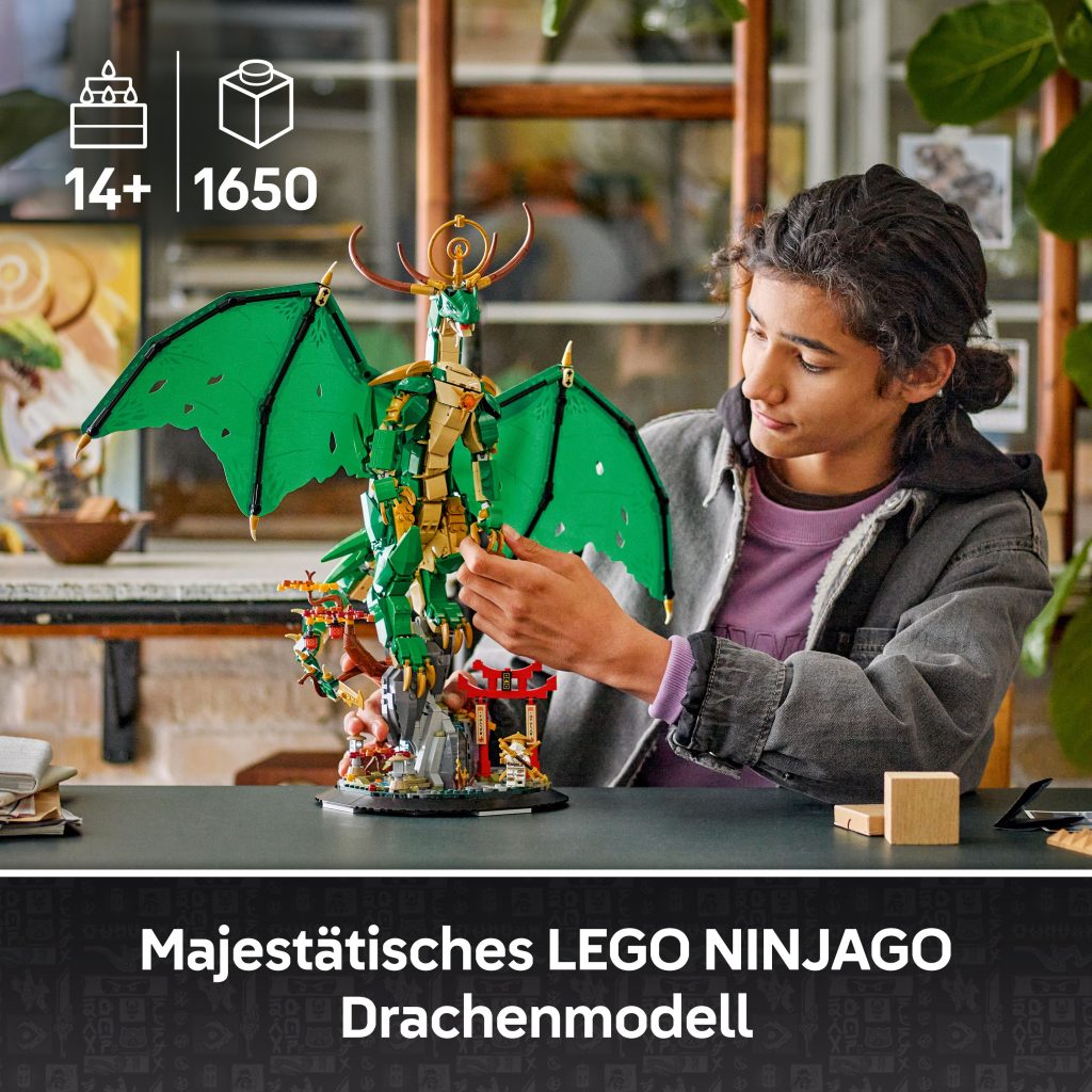Produktabbildung Der Wächterdrache
