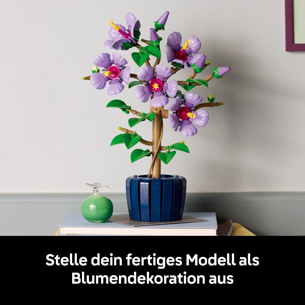 Produktabbildung Hibiskus