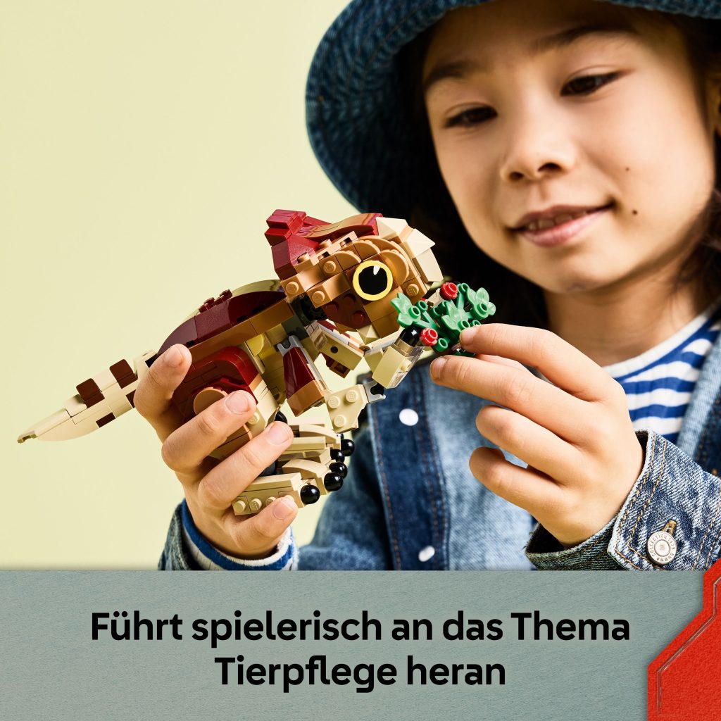 Produktabbildung Babydinosaurier Dolores: Aquilops