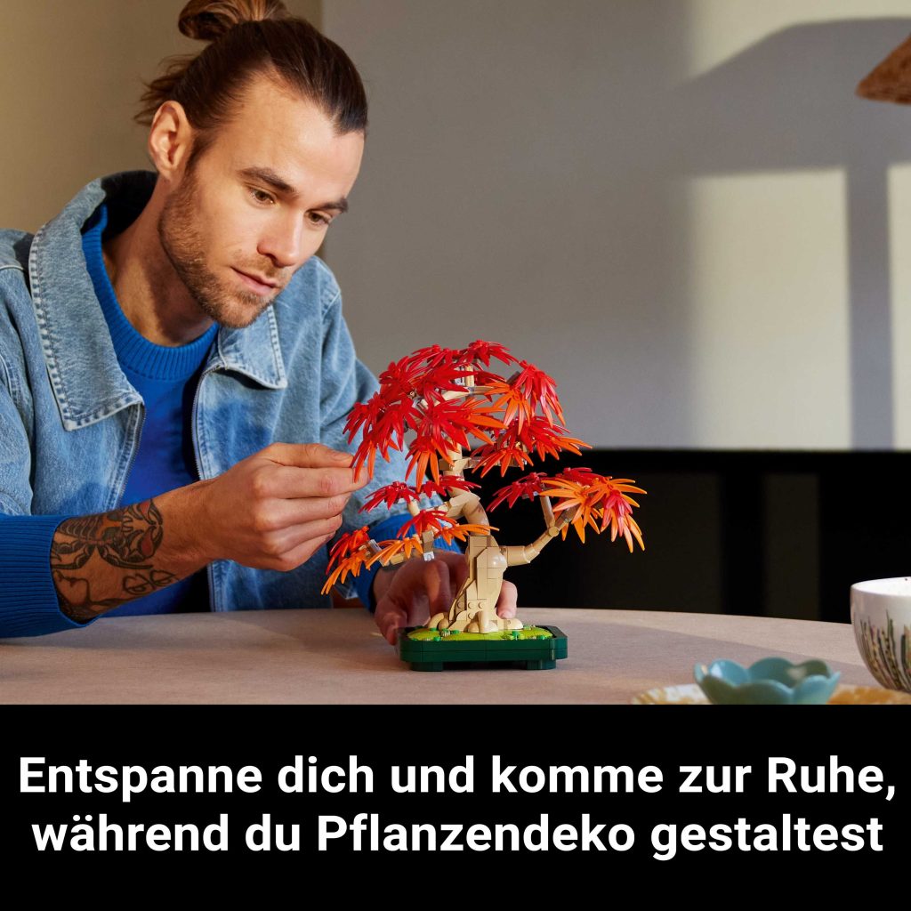 Produktabbildung Japanischer Roter Ahorn – Bonsai-Baum