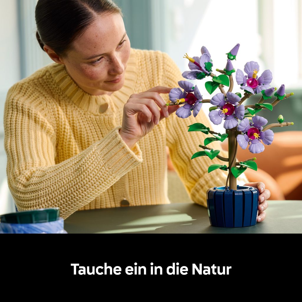 Produktabbildung Hibiskus