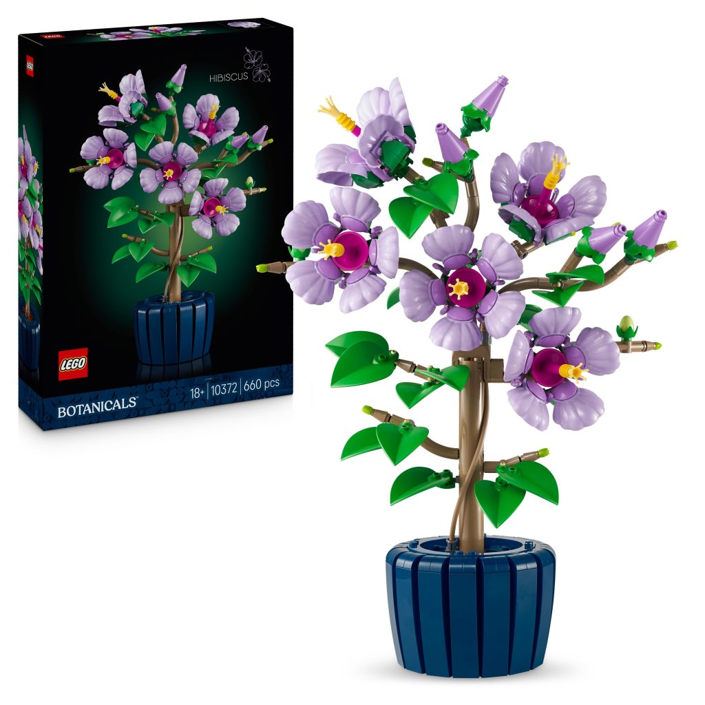 Produktabbildung Hibiskus