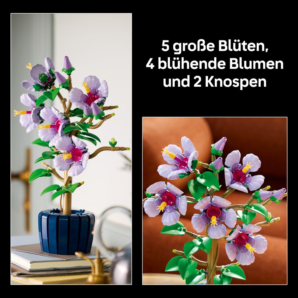 Produktabbildung Hibiskus
