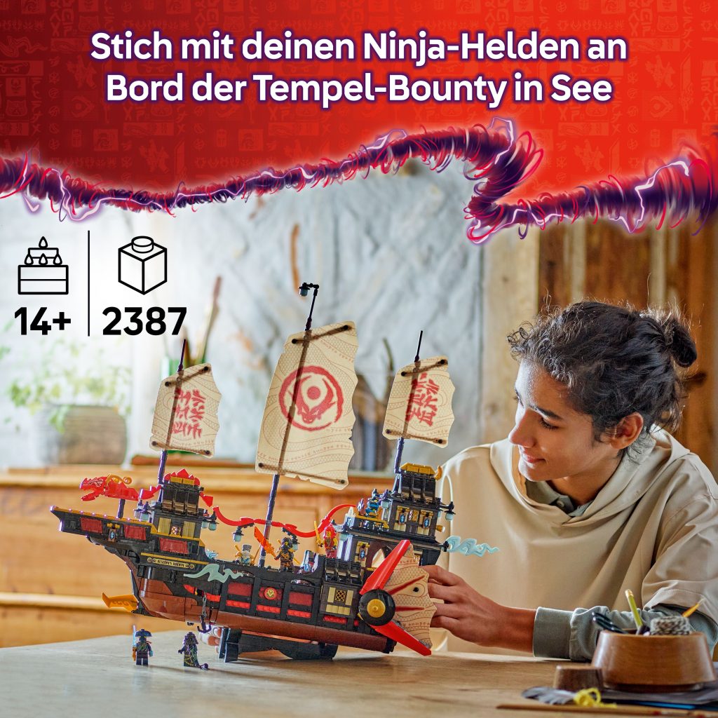 Produktabbildung Der Tempel-Flugsegler
