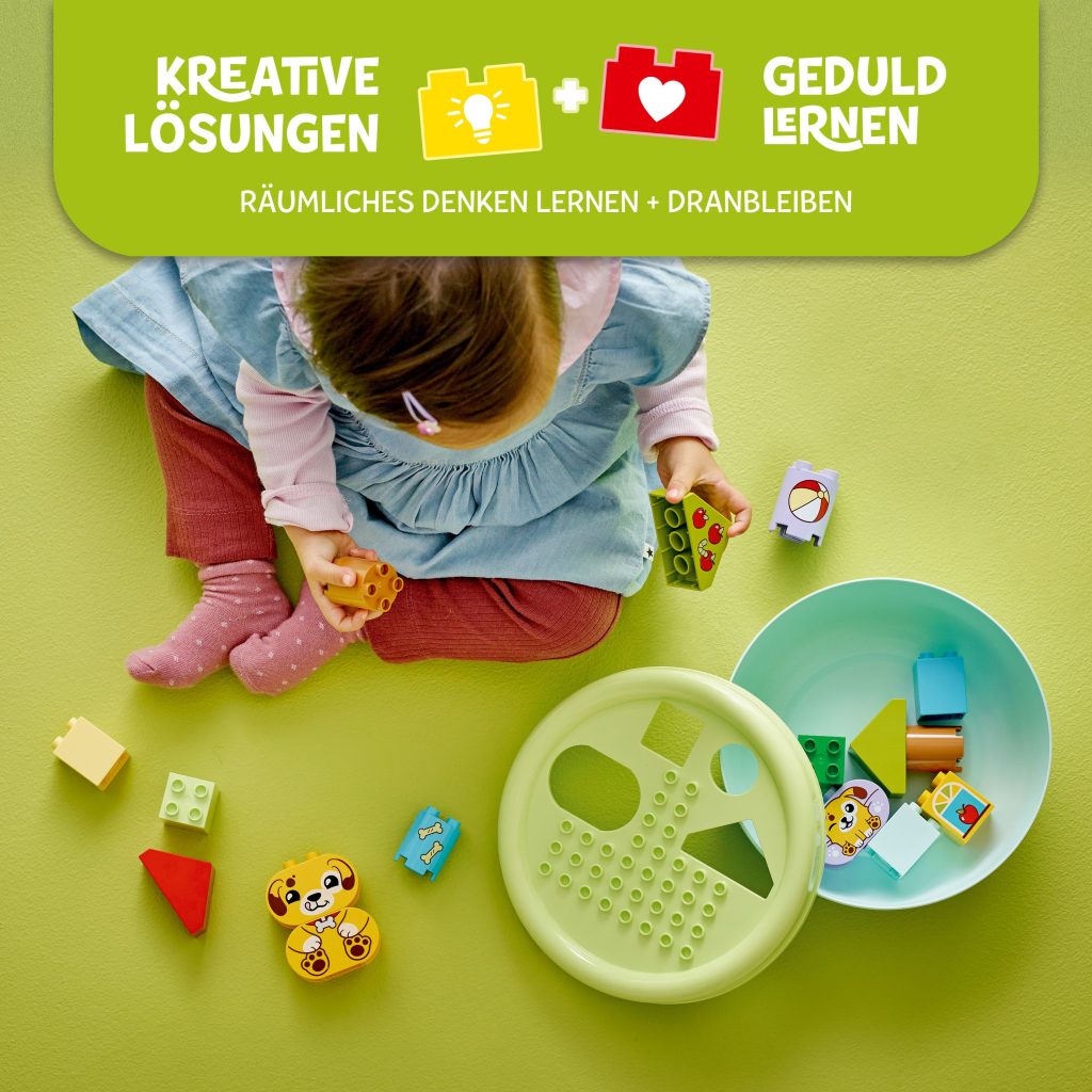 Produktabbildung Formsortierer: Welpenhaus