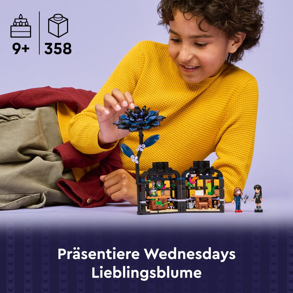Produktabbildung Schwarze Dahlie