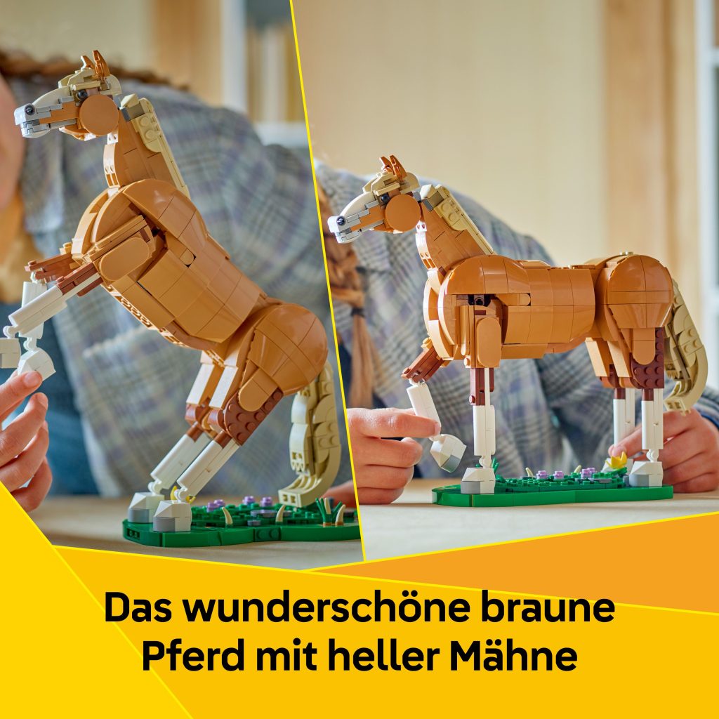 Produktabbildung Prächtiges Ross