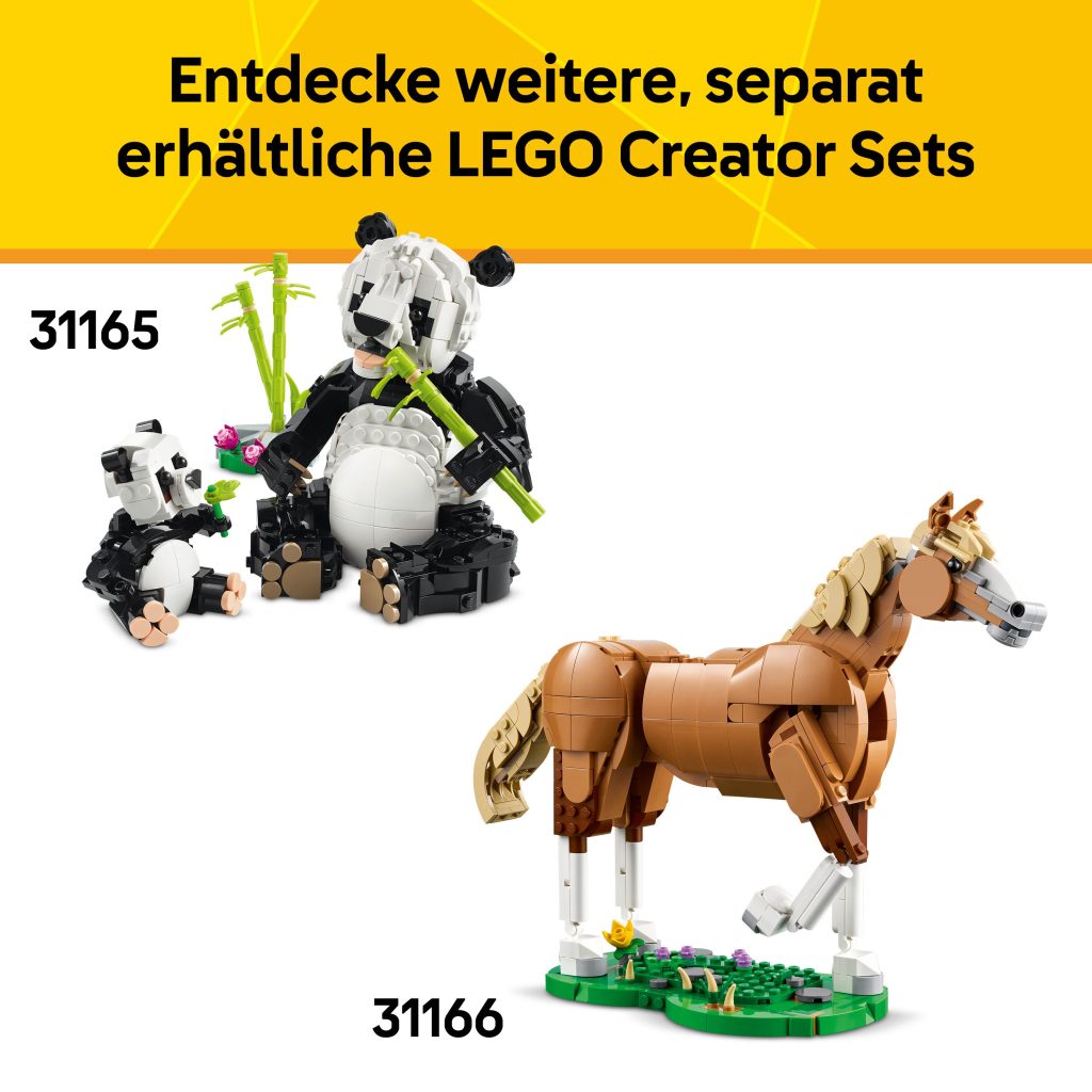 Produktabbildung Wilde Tiere: Tropischer Tukan